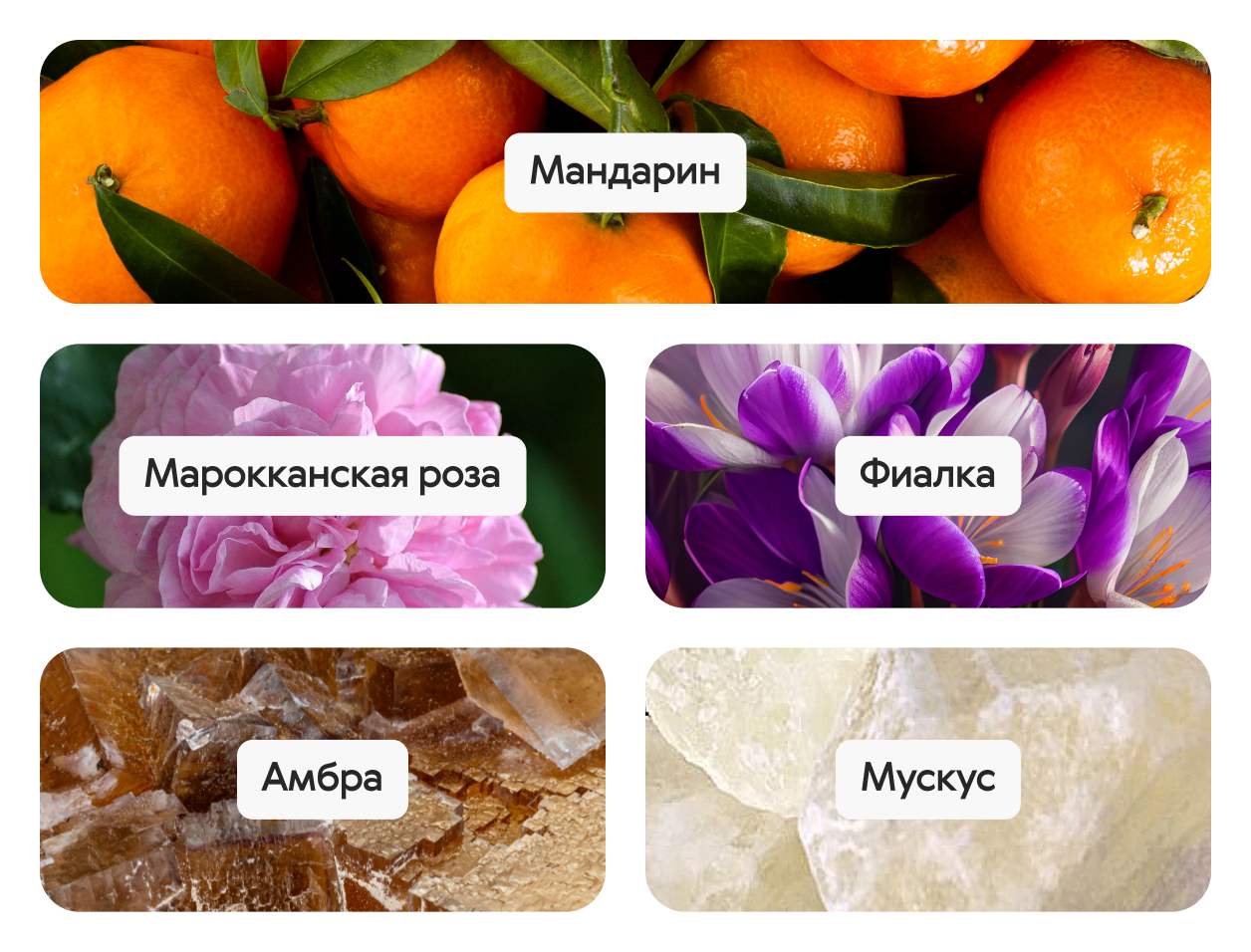 Arc-en-Ciel Pink, парфюмерлік су