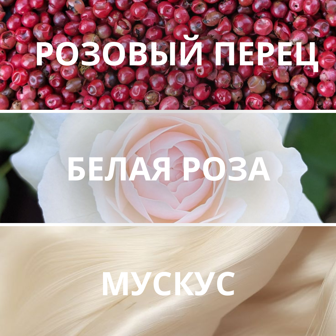 Aromapolis Olfactive Studio - White Rose & Musk, парфюмерная вода